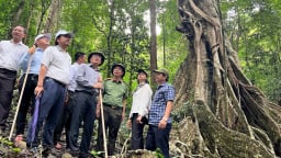 Gia Lai: Xây dựng chiến lược phát triển “núi vàng” du lịch Kon Ka Kinh