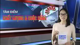 Tâm điểm CL&CS: Phổ biến Luật sửa đổi, bổ sung “Nâng cao hiệu quả quản lý TC&CL sản phẩm, hàng hoá