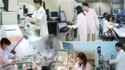 Nhiều chính sách trọng dụng nhà khoa học người Việt Nam ở nước ngoài, chuyên gia nước ngoài