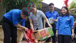 Chiến sĩ Mùa hè Xanh gieo “mầm xanh” từ những thùng rác nhỏ