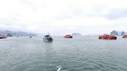 Kinh tế tư nhân Quảng Ninh: Bước ngoặt cho bứt phá và vươn mình