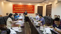 Nghiên cứu phục hồi nguồn lợi một số loài rong mơ tại Khu bảo tồn biển Bạch Long Vĩ