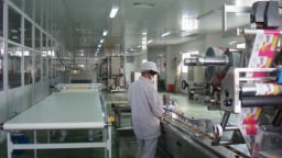 FSSC 22000: Chìa khóa nâng tầm chất lượng và năng suất cho doanh nghiệp thực phẩm Việt