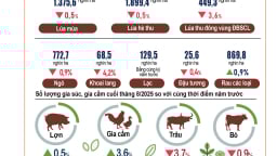Tình hình kinh tế - xã hội tháng 8 và 8 tháng đầu năm 2025