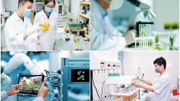 Quỹ Phát triển khoa học và công nghệ quốc gia vận hành theo chuẩn quốc tế