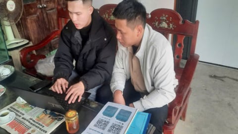 Ninh Bình: Hướng dẫn sử dụng hệ thống truy xuất nguồn gốc sản phẩm mật ong