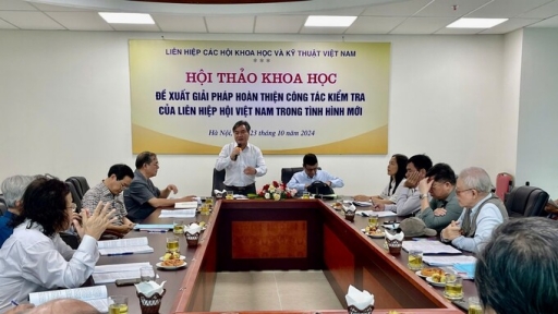 Bàn giải pháp hoàn thiện công tác kiểm tra của Liên hiệp Hội Việt Nam