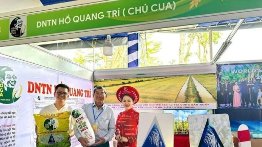 Gạo thơm ST25 đạt tiêu chuẩn 5 sao OCOP