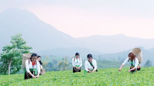 Đánh thức tiềm năng OCOP: 'Đặc sản' hút khách du lịch đến vùng DTTS Phú Thọ