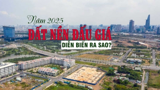 Năm 2025, thị trường đấu giá đất diễn biến ra sao?