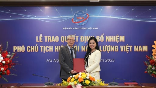 Lãnh đạo cấp cao T&T Group làm Phó Chủ tịch hiệp hội năng lượng Việt Nam