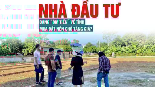 Nhà đầu tư đang “ôm tiền” về tỉnh mua đất nền chờ tăng giá?