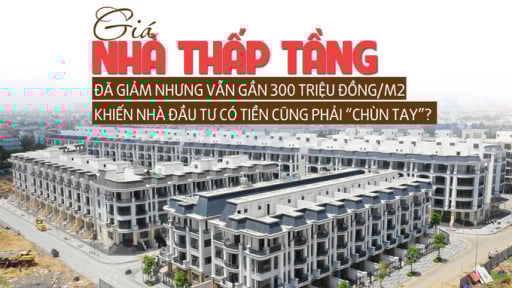 Giá nhà thấp tầng đã giảm nhưng vẫn gần 300 triệu đồng/m2 khiến nhà đầu tư có tiền cũng phải “chùn tay”?