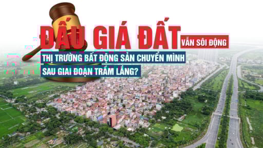 Đấu giá đất vẫn sôi động: Thị trường bất động sản chuyển mình sau giai đoạn trầm lắng?