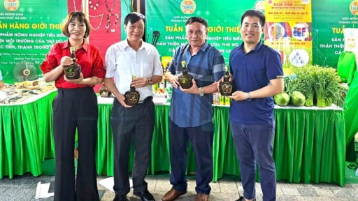 Chuyển đổi số: Động lực mới cho doanh nghiệp nông nghiệp tư nhân phát triển