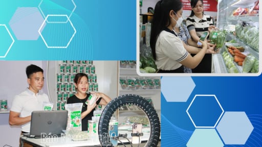 Nam Định đẩy mạnh áp dụng khoa học công nghệ, đổi mới sáng tạo và chuyển đổi số