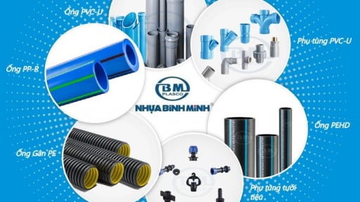 Cổ đông của Nhựa Bình Minh nhận cổ tức năm 2024 bằng tiền, tỷ lệ lên đến 119,9%