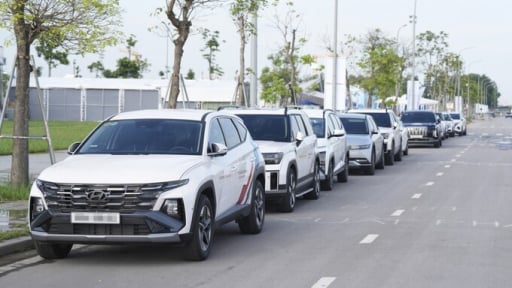 Khởi động chuỗi sự kiện Hyundai Care Day 2025 tại Bắc Giang