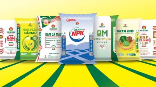 Năm 2025, Đạm Cà Mau sẽ tiết kiệm 5% năng lượng so với định mức 2022