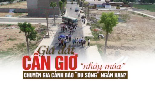 Giá đất Cần Giờ “nhảy múa”, chuyên gia cảnh báo nhà đầu tư đu “sóng ngắn”