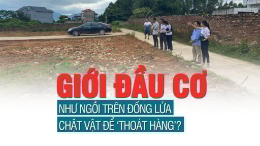Giới đầu cơ đang như “ngồi trên đống lửa”, chật vật để thoát hàng?