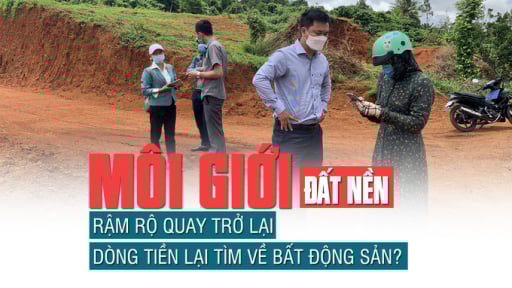 Môi giới đất nền rầm rộ quay trở lại, dòng tiền đã tìm về bất động sản?
