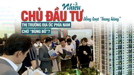 Thị trường bất động sản sẽ bình ổn và phát triển mạnh mẽ trong năm 2025?