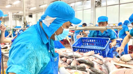 Đáp ứng tiêu chuẩn chế biến, truy xuất và chứng nhận Halal cá tra Việt đi sâu vào thị trường ngách