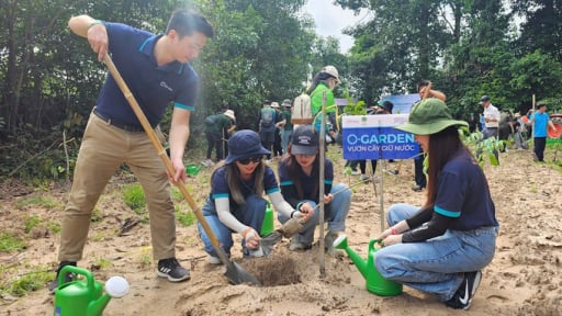 Hưởng ứng ngày môi trường thế giới, OPES trao tặng gần 1.300 cây giống tại tỉnh Tây Ninh
