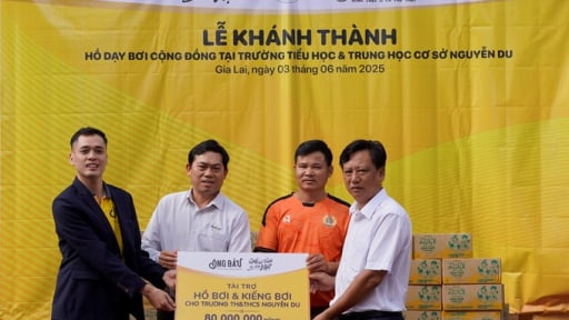 Quỹ Phát triển Tài năng Việt trao tặng hồ dậy bơi miễn phí cộng đồng tại Gia Lai