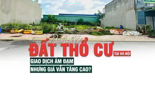 Nghịch lý đất thổ cư tại Hà Nội: Giao dịch ảm đạm nhưng giá vẫn tăng cao?