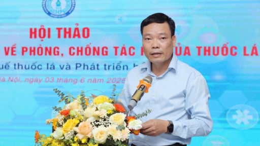 Tăng thuế thuốc lá: Chính sách vì sức khỏe cộng đồng và sự phát triển bền vững của nền kinh tế