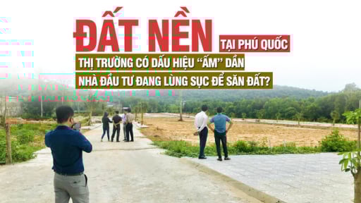 Đất nền tại Phú Quốc: Thị trường có dấu hiệu “ấm” dần, nhà đầu tư đang lùng sục để săn đất?