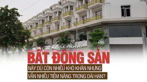 Loại hình bất động sản này dù còn nhiều khó khăn nhưng vẫn nhiều tiềm năng trong dài hạn