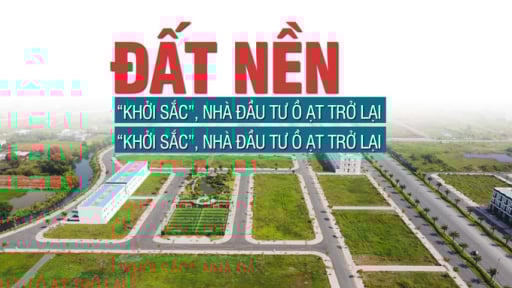 Đất nền khởi sắc, nhà đầu tư ồ ạt trở lại, 6 tháng cuối năm sẽ diễn biến thế nào?