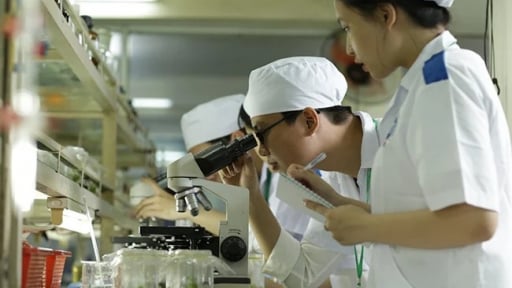 Công nghệ sinh học mở đường cho nông nghiệp xanh hiện đại