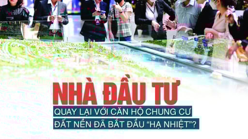 Nhà đầu tư quay lại với căn hộ chung cư, đất nền đã bắt đầu “hạ nhiệt”?