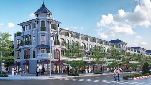 Imperia Grand Plaza Đức Hòa: Nơi dòng tiền bền vững hội tụ giá trị gia tăng