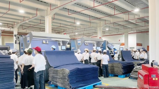 Quảng Ngãi thúc đẩy kinh tế tuần hoàn thông qua năng suất xanh