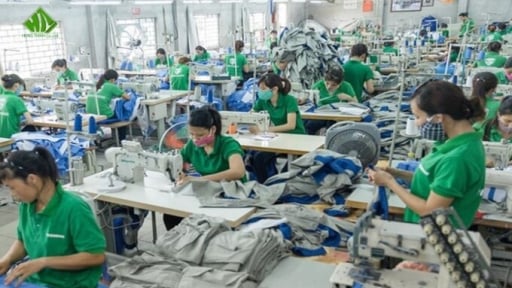 ISO 50001:2018 tích hợp ISO 9001:2015 và Kaizen: Giải pháp tăng năng suất bền vững
