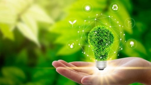 Áp dụng ISO 50004:2020 - nâng cao hiệu quả hệ thống quản lý năng lượng
