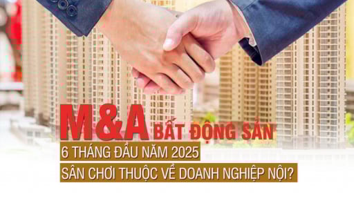 M&A bất động sản 6 Tháng Đầu Năm 2025: Sân chơi thuộc về doanh nghiệp nội?