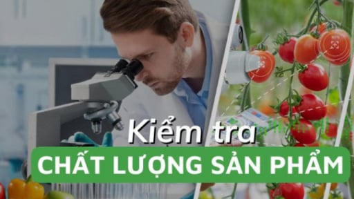 Kiểm soát chặt thực phẩm và thực phẩm bảo vệ sức khỏe theo tiêu chuẩn quốc tế