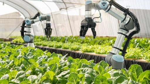 Nâng cao hiệu quả vận hành nhờ áp dụng công cụ cải tiến và hệ thống quản lý
