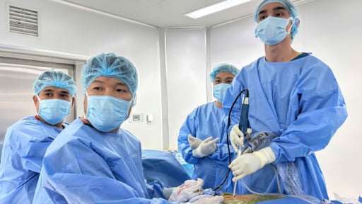 Vinmec Phú Quốc điều trị hẹp ống sống cho bệnh nhân cao tuổi bằng kỹ thuật nội soi hiện đại