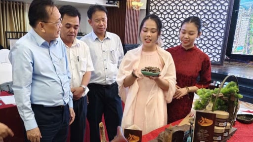 Khánh Hòa nâng cao chất lượng sản phẩm OCOP