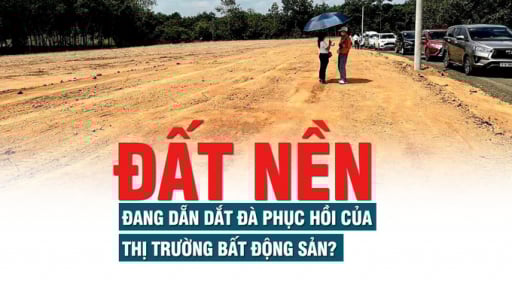 Đất nền đang dẵn dắt đà phục hồi của thị trường bất động sản?