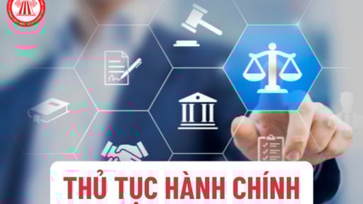 Tiếp tục tập trung triển khai thực hiện Nghị quyết của Trung ương, Kết luận của Bộ Chính trị, Ban Bí thư về sắp xếp tổ chức bộ máy và đơn vị hành chính