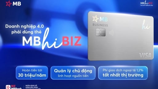 Thẻ doanh nghiệp MB Hi BIZ - Chìa khóa cho doanh nghiệp vận hành thông minh