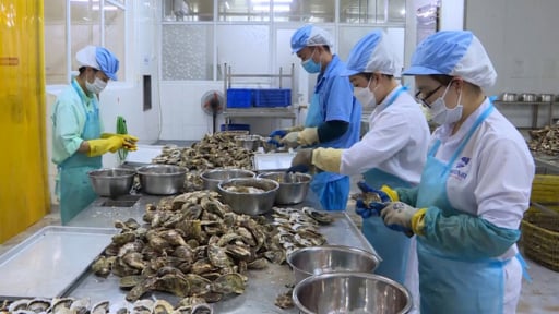 Doanh nghiệp chuyển mình mạnh mẽ nhờ kết hợp công cụ cải tiến và hệ thống quản lý
